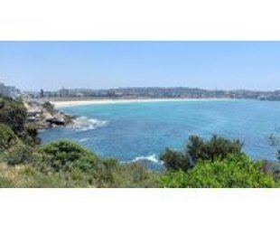 View Deal